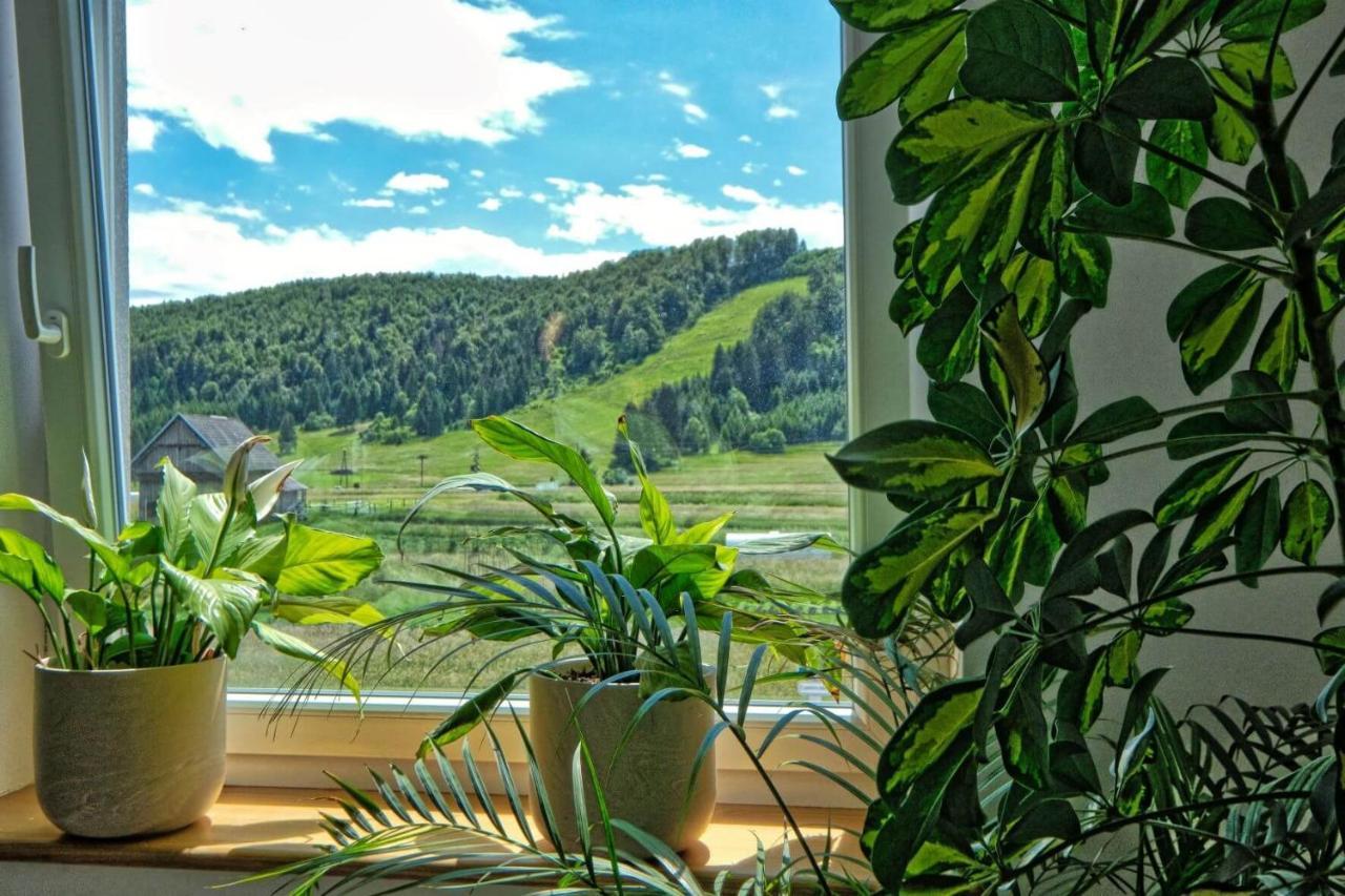 Prenocisca Miklavcic Hotel Nova Vas  Buitenkant foto