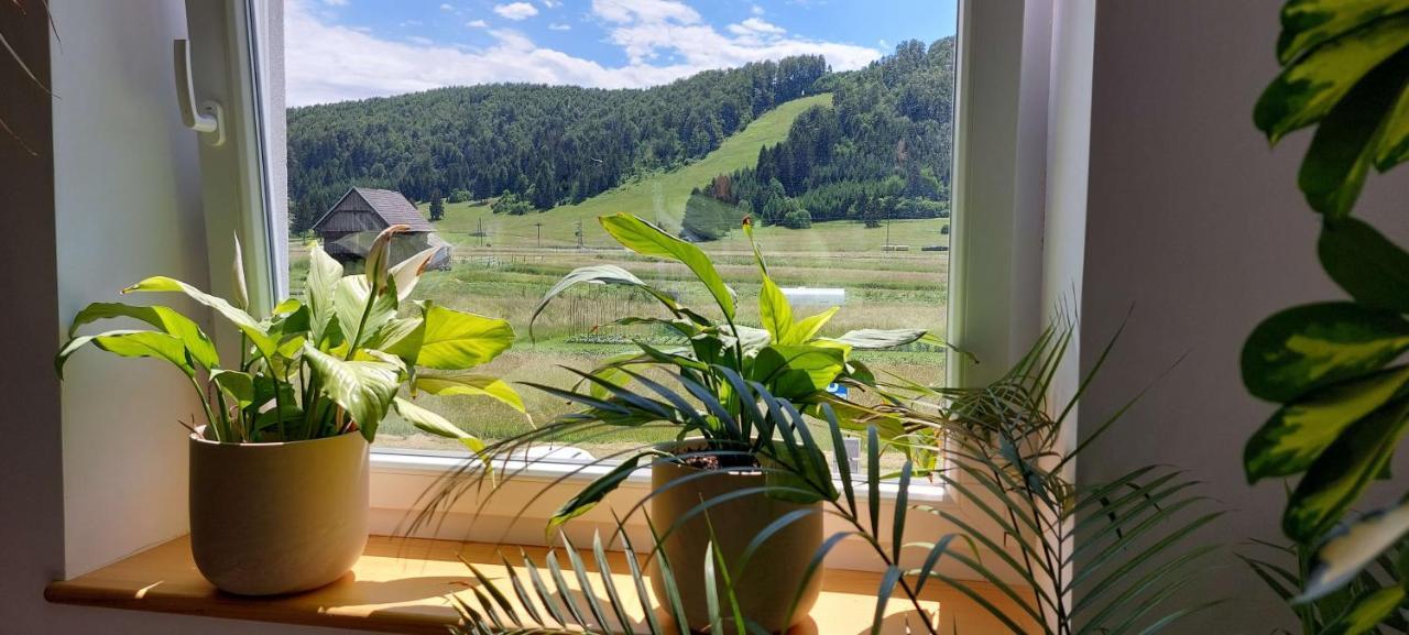 Prenocisca Miklavcic Hotel Nova Vas  Buitenkant foto