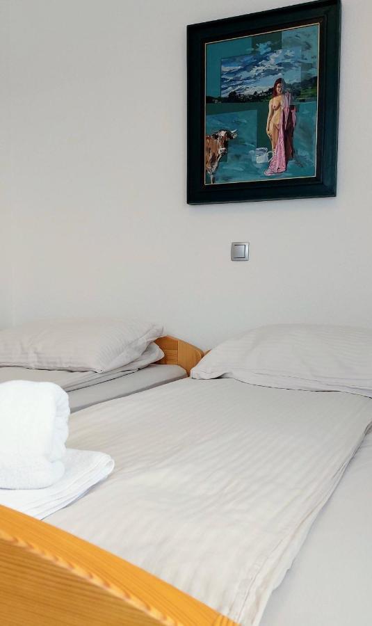 Prenocisca Miklavcic Hotel Nova Vas  Buitenkant foto