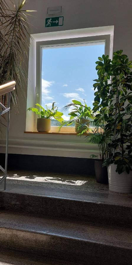 Prenocisca Miklavcic Hotel Nova Vas  Buitenkant foto